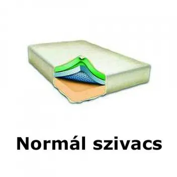 Normál szivacs